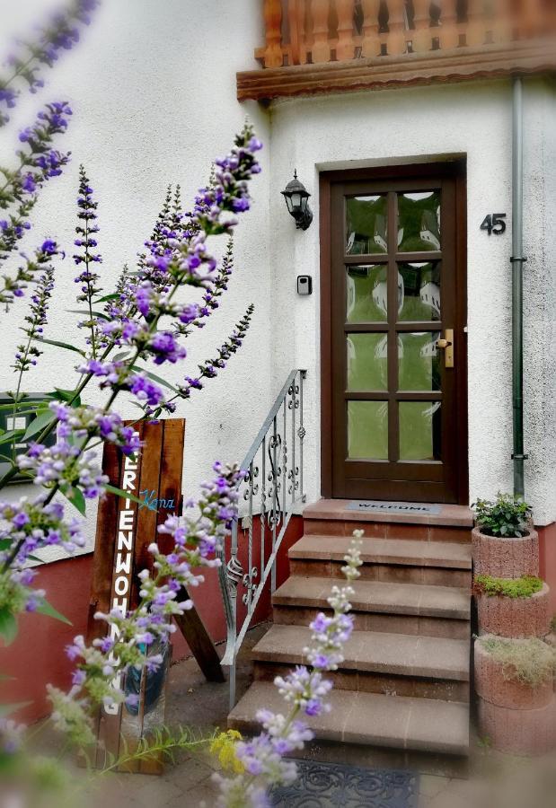 Ferienwohnung Konz メルツィッヒ エクステリア 写真